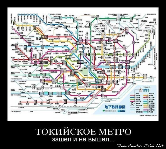 Смешной демотиватор от zubrilov за 20.08.2010 №58317