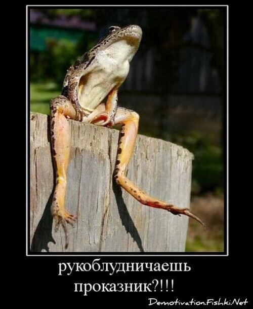 Демотиваторы, часть 68 (118 фото)