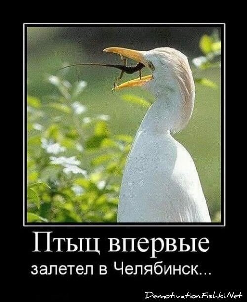 Смешной демотиватор от zubrilov за 20.08.2010 №58325