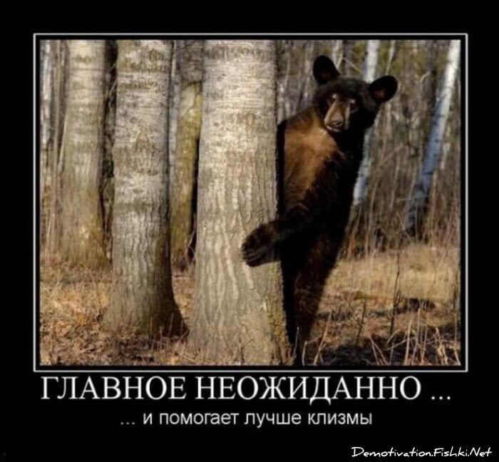 Смешной демотиватор от zubrilov за 20.08.2010 №58326
