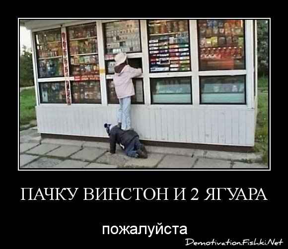 пачку винстон и 2 ягуара