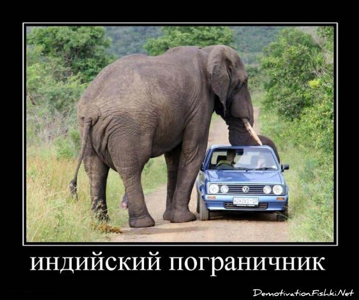 Смешной демотиватор от zubrilov за 27.08.2010 №58419