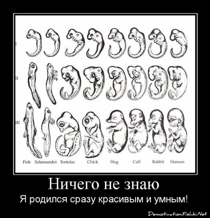 Демотиваторы, часть 69 (85 фото)