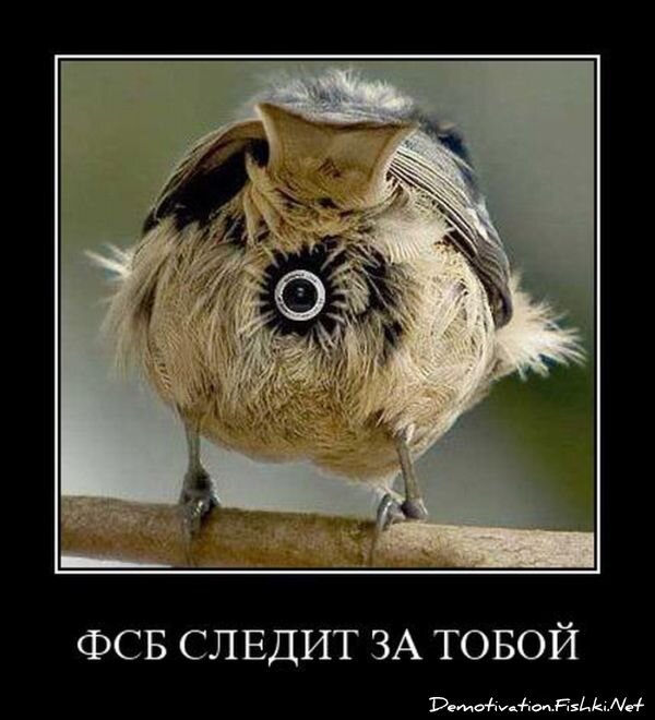 Смешной демотиватор от zubrilov за 27.08.2010 №58439