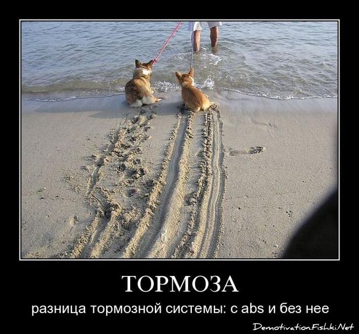 Демотиваторы, часть 69 (85 фото)