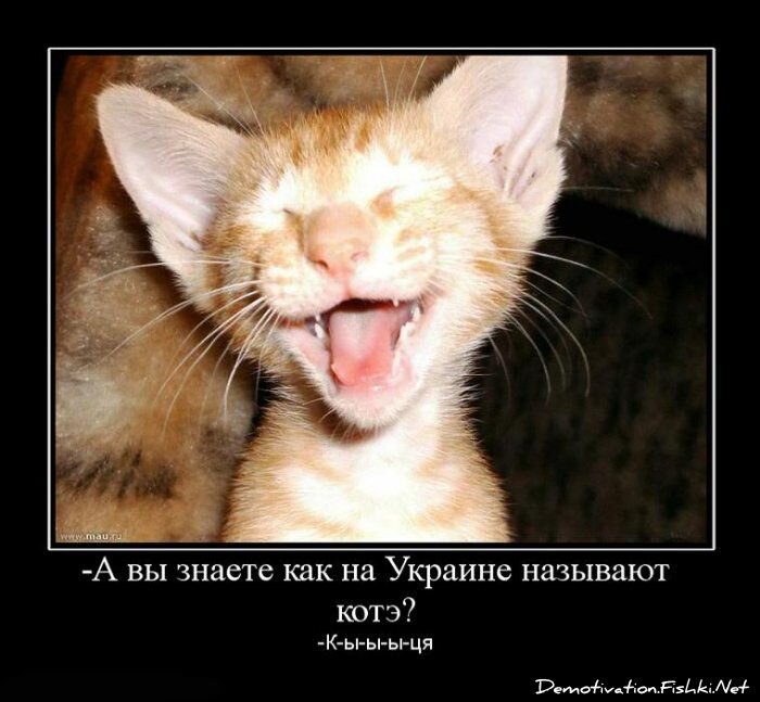 Смешной демотиватор от zubrilov за 27.08.2010 №58443