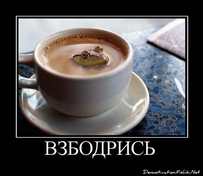 Смешной демотиватор от zubrilov за 27.08.2010 №58458