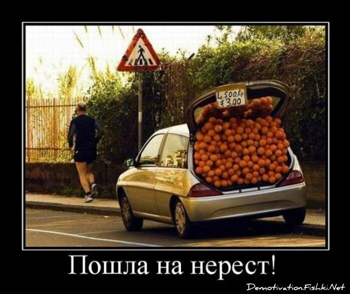 Смешной демотиватор от zubrilov за 27.08.2010 №58489