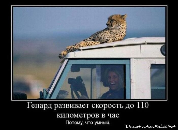 Смешной демотиватор от zubrilov за 27.08.2010 №58500