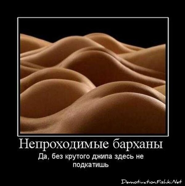 Демотиваторы, часть 70 (81 фото)