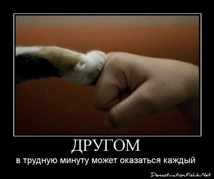 Смешной демотиватор от zubrilov за 03.09.2010 №58601