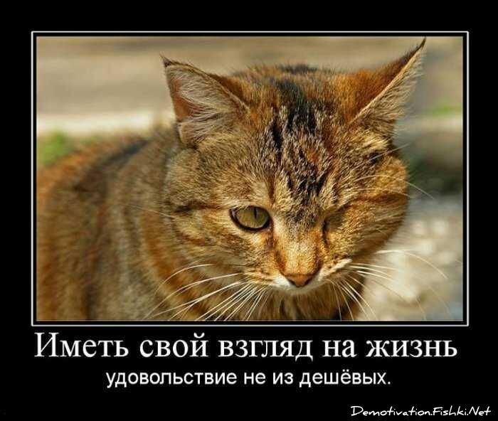 Смешной демотиватор от zubrilov за 03.09.2010 №58602