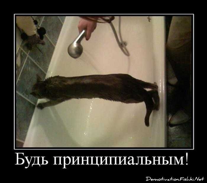 Смешной демотиватор от zubrilov за 03.09.2010 №58604
