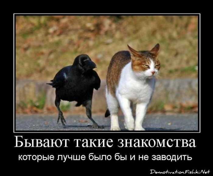 Демотиваторы, часть 70 (81 фото)