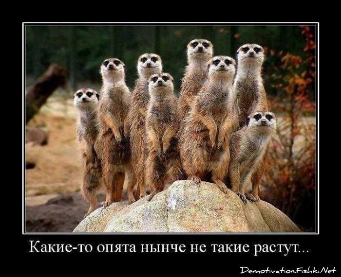 Смешной демотиватор от zubrilov за 03.09.2010 №58616