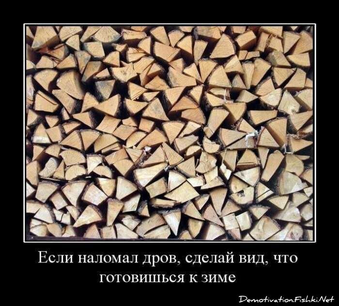 Демотиваторы, часть 70 (81 фото)