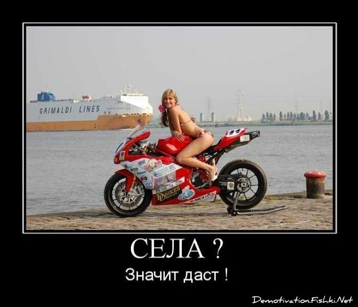 Смешной демотиватор от zubrilov за 03.09.2010 №58649