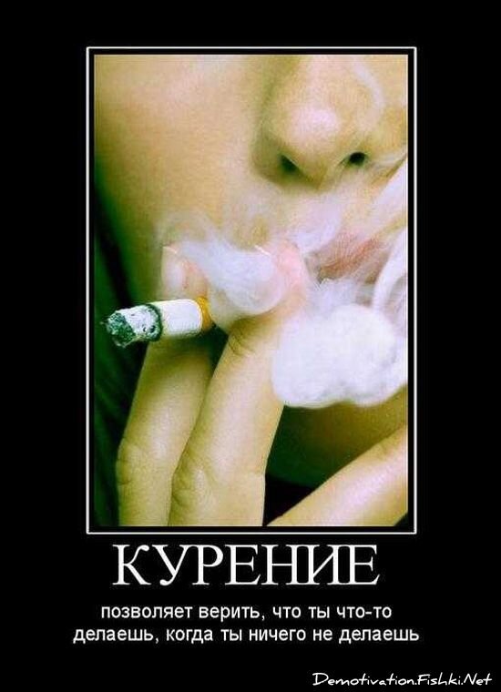 Смешной демотиватор от zubrilov за 03.09.2010 №58657