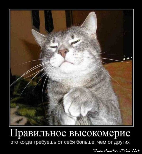 Смешной демотиватор от zubrilov за 03.09.2010 №58658