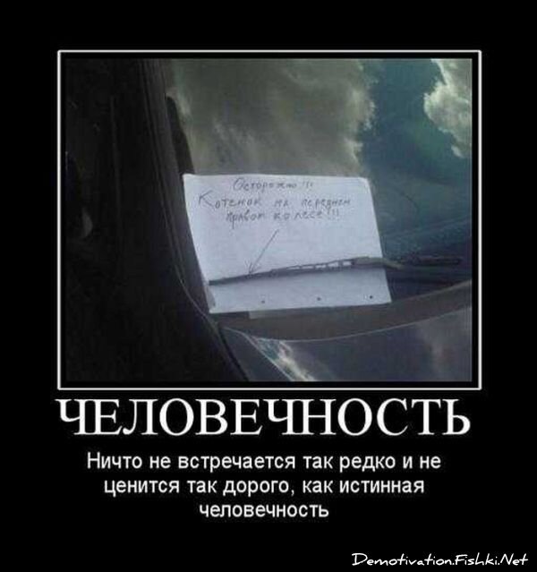 Смешной демотиватор от zubrilov за 03.09.2010 №58663