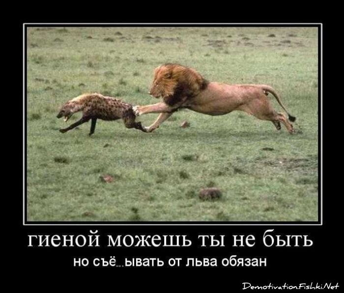 Смешной демотиватор от zubrilov за 03.09.2010 №58664