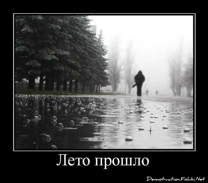 Смешной демотиватор от zubrilov за 03.09.2010 №58670