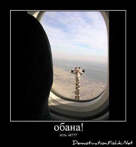 Смешной демотиватор от zubrilov за 10.09.2010 №58771
