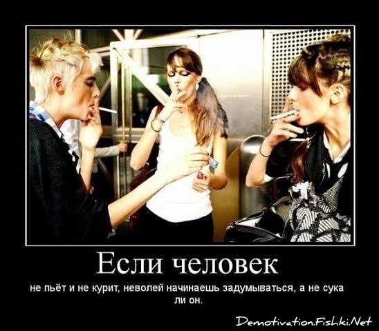 Демотиваторы, часть 71 (120 фото)