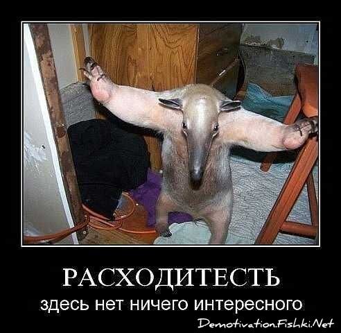 Смешной демотиватор от zubrilov за 10.09.2010 №58773