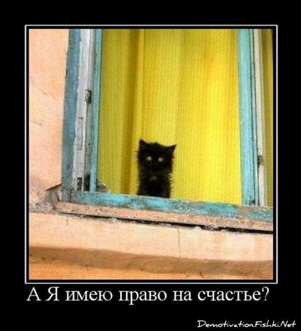 Смешной демотиватор от zubrilov за 10.09.2010 №58788