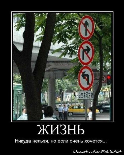 Смешной демотиватор от zubrilov за 10.09.2010 №58796