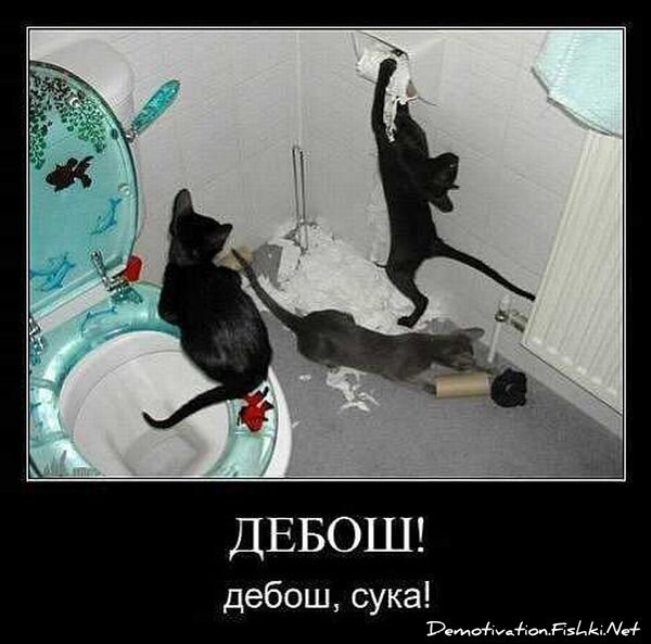 Смешной демотиватор от zubrilov за 10.09.2010 №58810