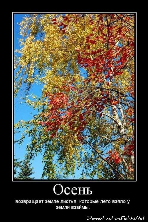 Смешной демотиватор от zubrilov за 10.09.2010 №58813