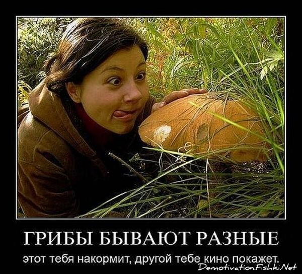 Смешной демотиватор от zubrilov за 10.09.2010 №58815