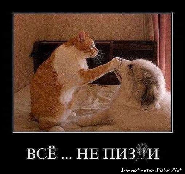 Смешной демотиватор от zubrilov за 10.09.2010 №58820