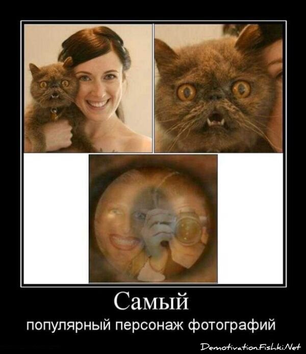 Демотиваторы, часть 71 (120 фото)