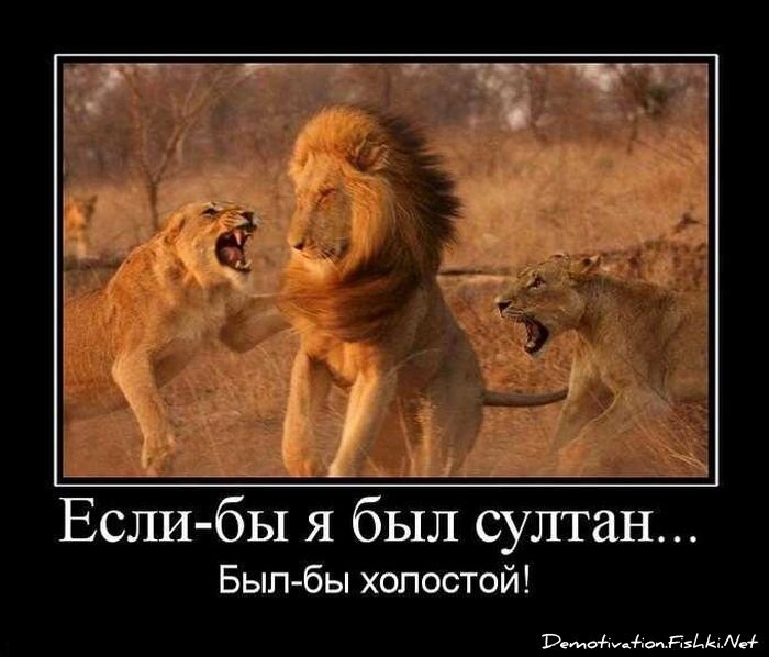 Смешной демотиватор от zubrilov за 10.09.2010 №58839