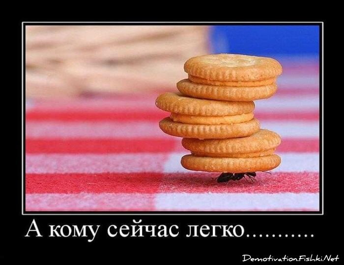 Смешной демотиватор от zubrilov за 10.09.2010 №58854