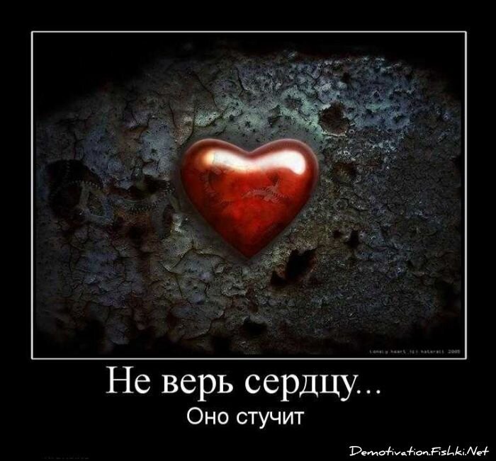 Смешной демотиватор от zubrilov за 10.09.2010 №58858