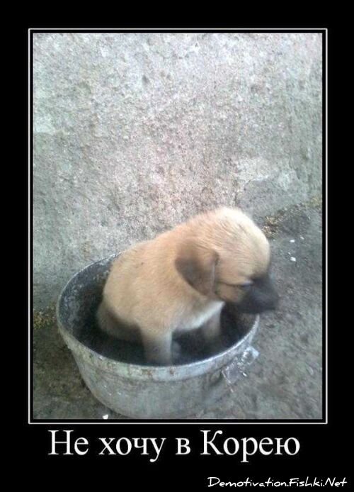 Смешной демотиватор от zubrilov за 10.09.2010 №58871