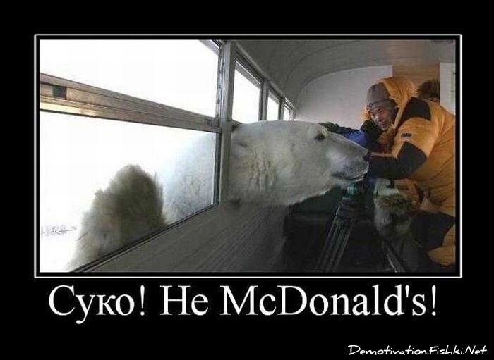 Смешной демотиватор от zubrilov за 10.09.2010 №58872