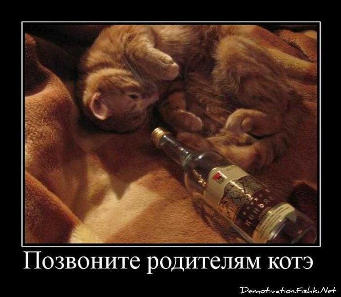 Смешной демотиватор от zubrilov за 10.09.2010 №58877