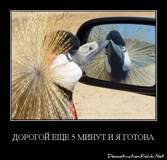 Дорогой еще 5 минут и я готова