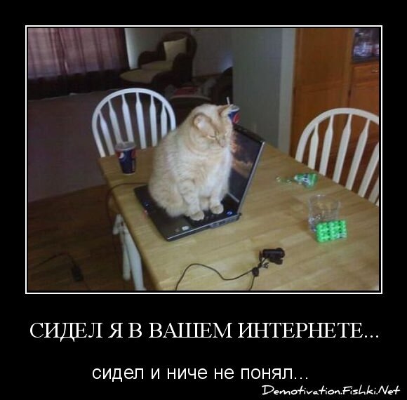 Сидел я в вашем интернете...