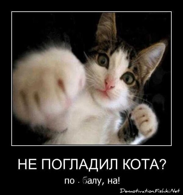 Демотиваторы, часть 72 (134 фото)