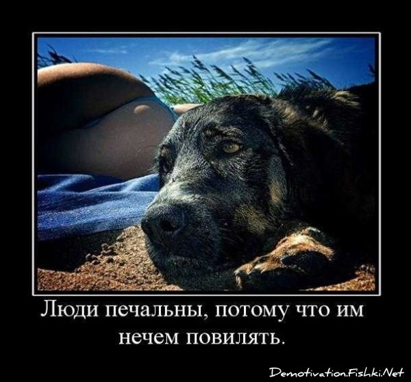 Смешной демотиватор от zubrilov за 17.09.2010 №58984