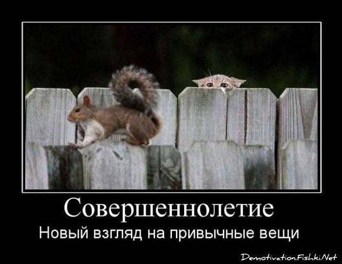 Смешной демотиватор от zubrilov за 17.09.2010 №58989