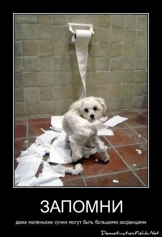 Смешной демотиватор от zubrilov за 17.09.2010 №58993