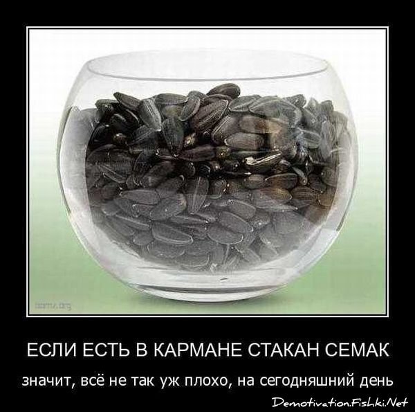 Смешной демотиватор от zubrilov за 17.09.2010 №59003