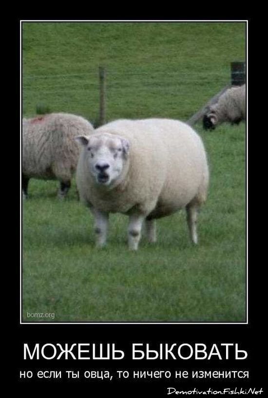 Смешной демотиватор от zubrilov за 17.09.2010 №59012
